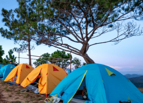 Tent Camping